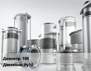 Компенсатор 100 Ру10